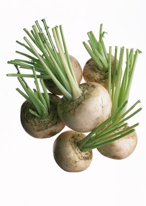 大阪の味を全国に届ける！お好み焼き専門店「ぼてぢゅう」の魅力と店舗情報