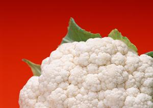 盛岡冷麺発祥の地「ぴょんぴょん舎」：本格焼肉と冷麺を楽しめる岩手の名店